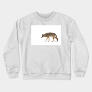 Coyote Crewneck Sweatshirt